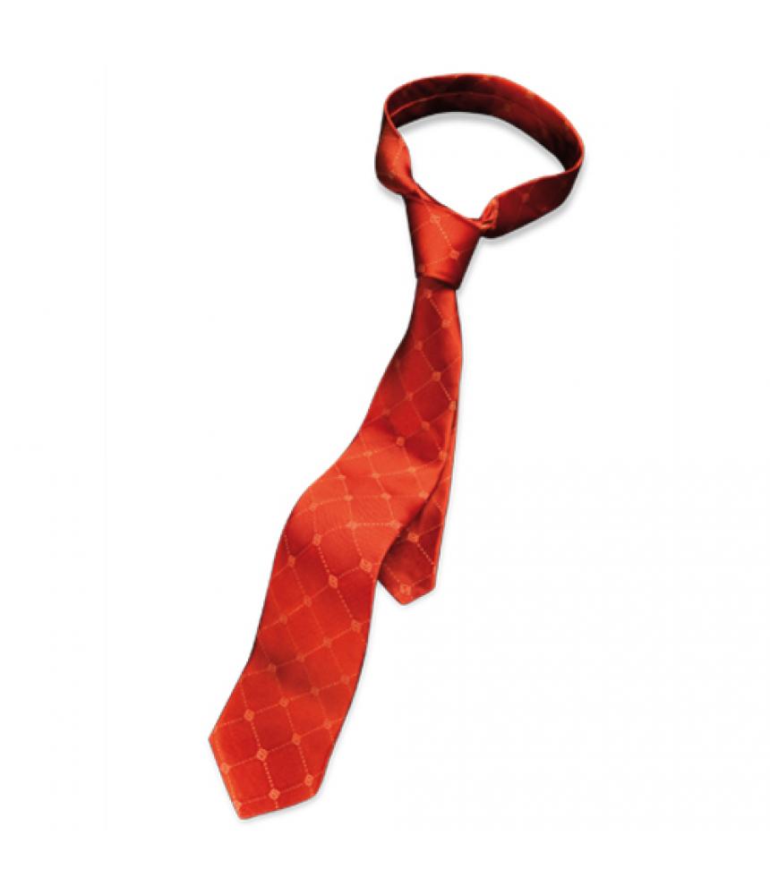 Corbata Brook - Imagen 2