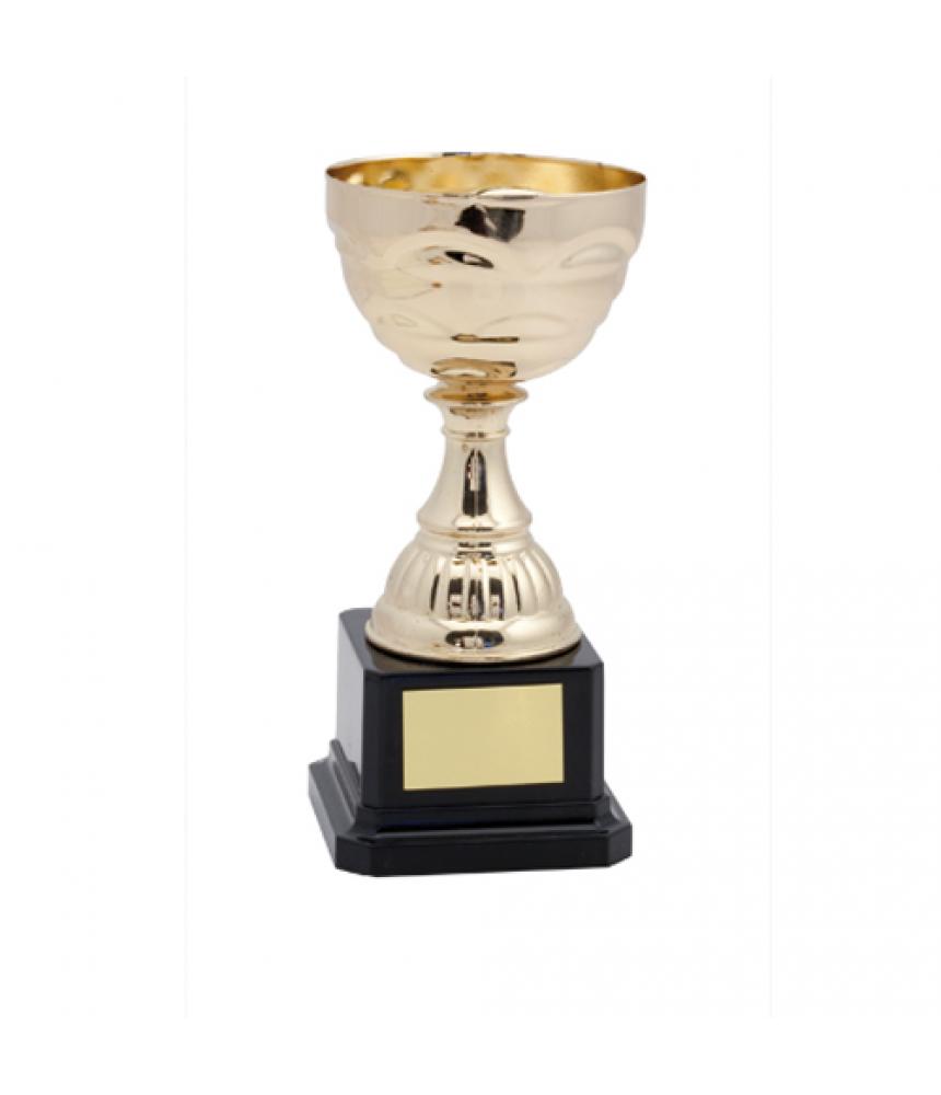 Trofeo Cevit - Imagen 1